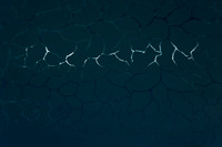 Visual Poetry