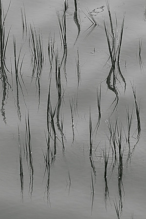 F00991